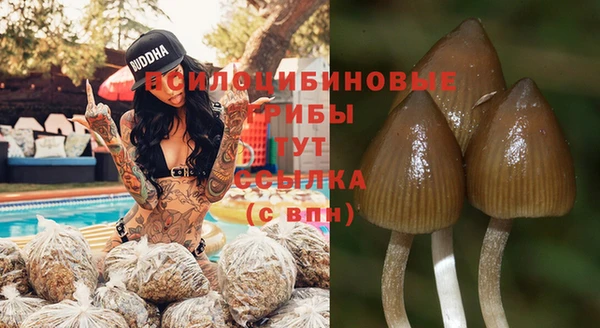 мескалин Алзамай