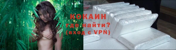 кокс Алексин