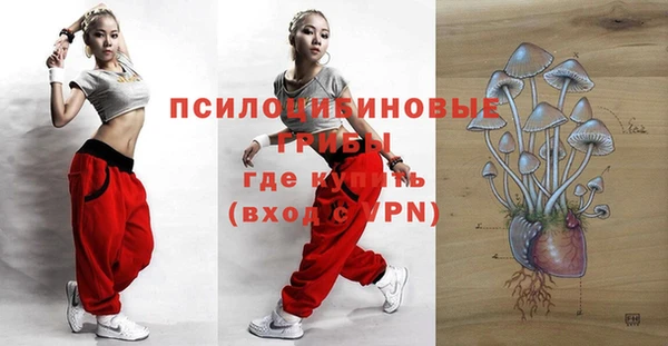 бошки Алексеевка