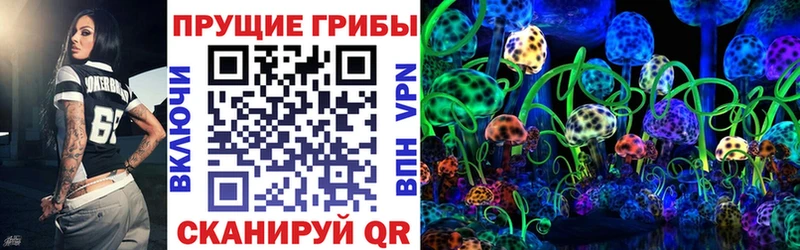 Галлюциногенные грибы мицелий хочу кракен Зея